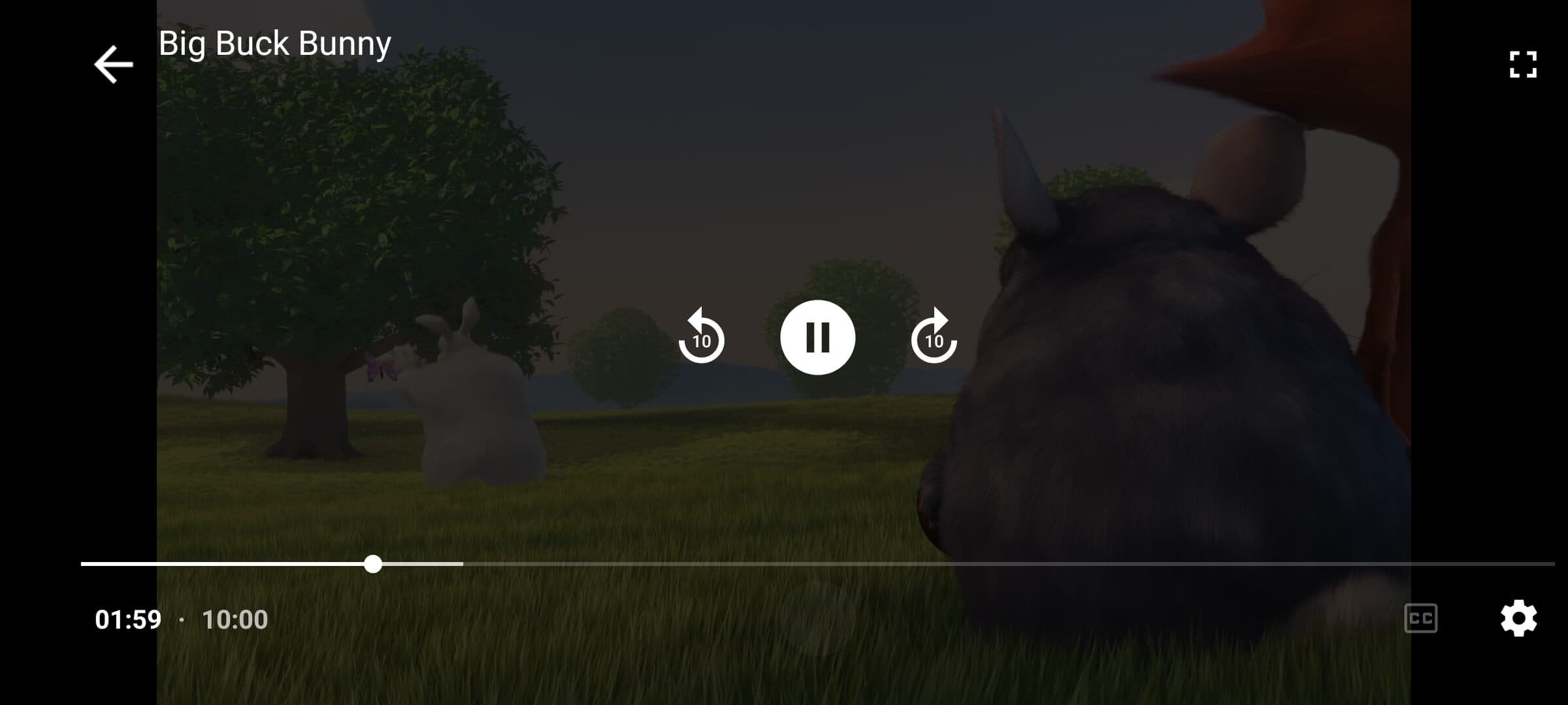 Integrated Media Player