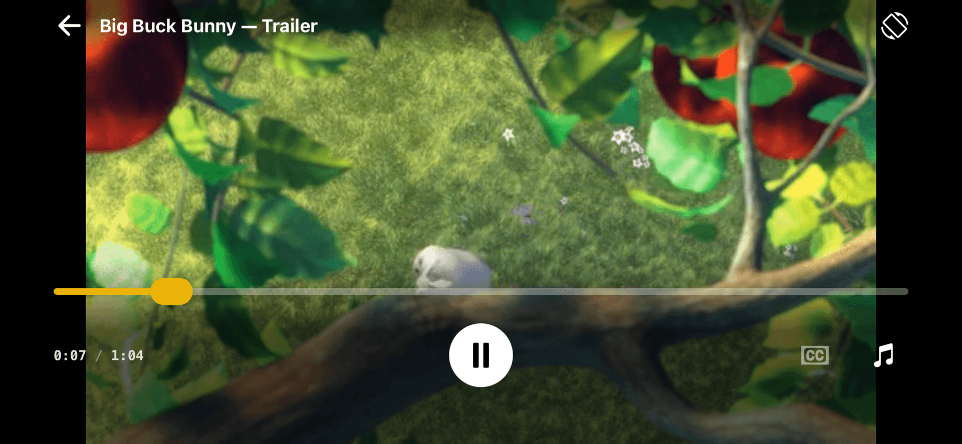 wako built-in media player showing a trailer