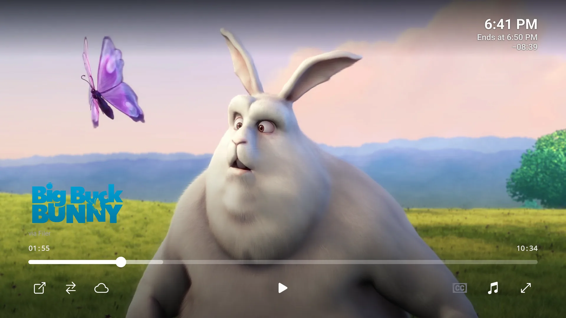 wako's player on Big Buck Bunny